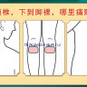 Серия обезболивающих пластырей «Yao Benren» - с морским коньком.
